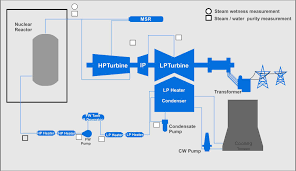 Nuclear Steam Cycle